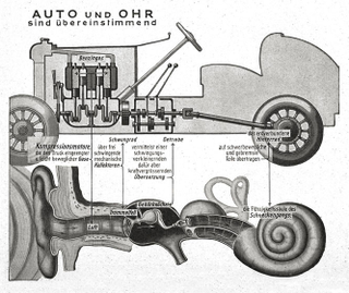 Illustration for article titled Fritz Kahn's Whimsical Infographics Turn People Into Contraptions